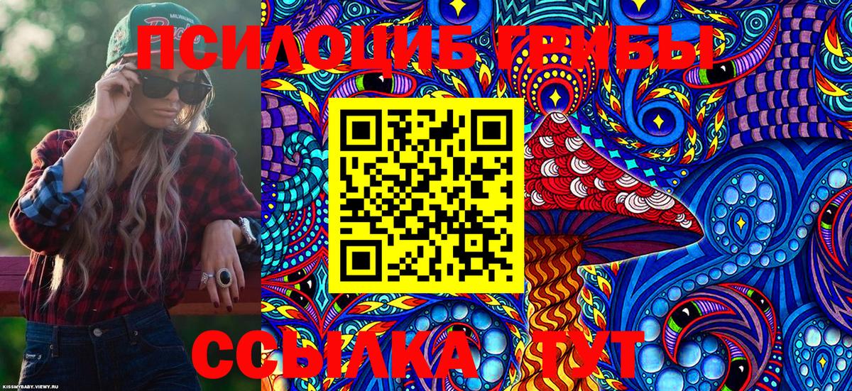 Большой Камень  Галлюциногенные грибы Psilocybine cubensis  Вход с VPN 